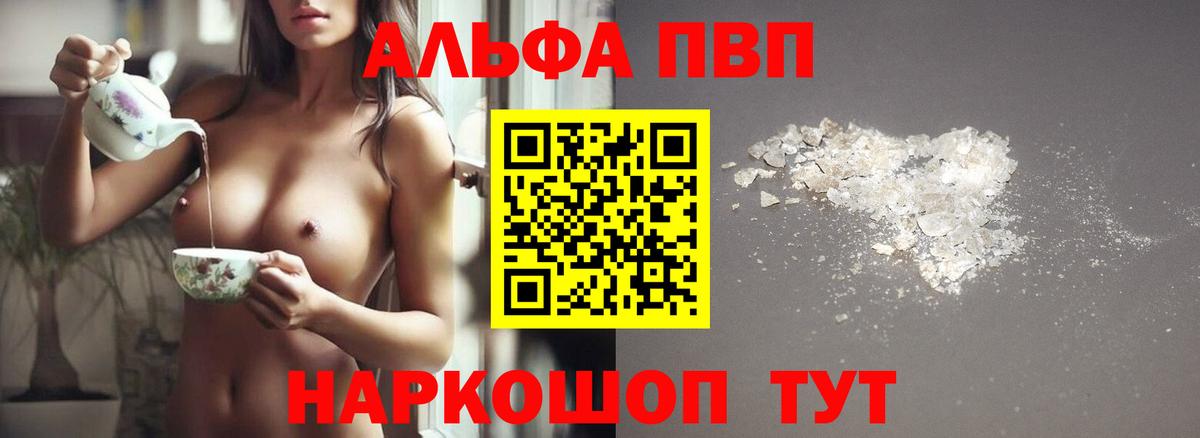 Альфа ПВП СК КРИС Дербент