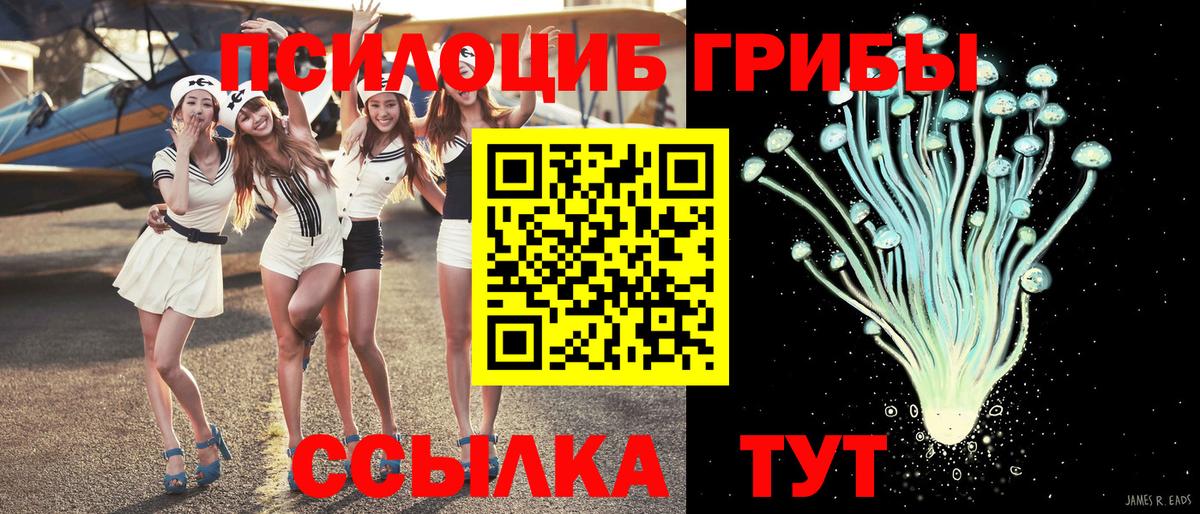 Дербент  Псилоцибиновые грибы ЛСД  Вход с VPN 