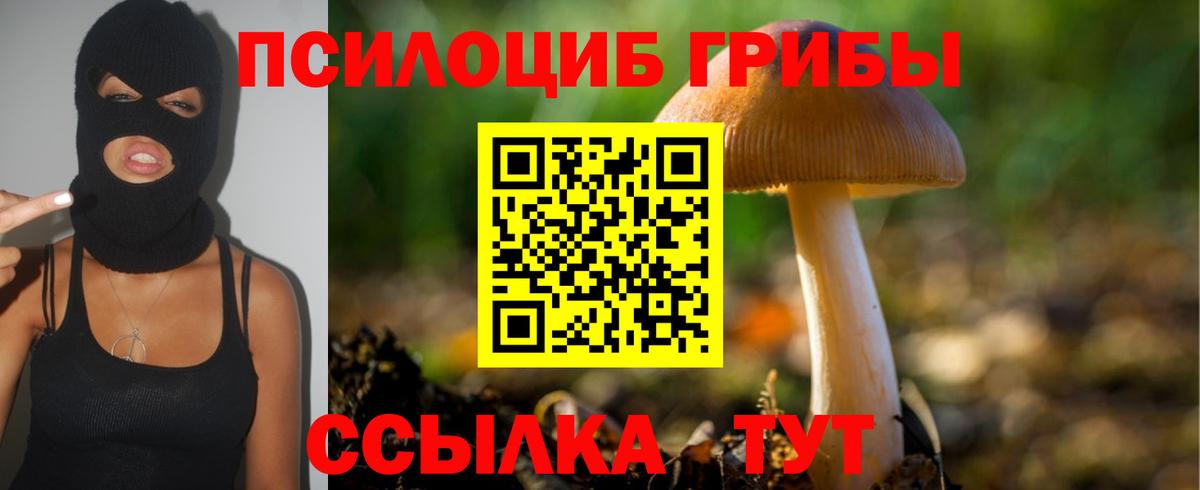 Псилоцибиновые грибы ЛСД Дербент