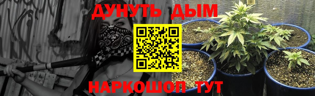 Бошки Шишки SATIVA & INDICA Дербент